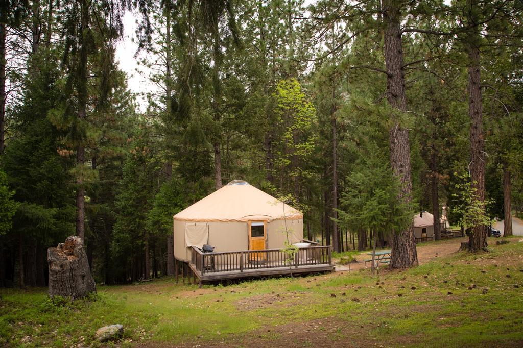 Harden Flat Yosemite Lakes Hillside Yurt 14 מראה חיצוני תמונה